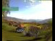 Webcam in Langenegg, 5.2 mi away