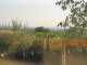 Webcam Albano Laziale