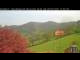 Webcam in Elzach, 30.8 km entfernt