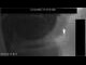 Webcam in Hasloch, 38.7 km