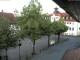 Webcam in Rimbach, 10.5 mi away