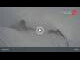 Webcam in Hintertux, 0 mi away