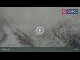 Webcam in Obergurgl, 0 km entfernt