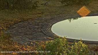Webcam Kruger-Nationalpark: Orpen Webcam