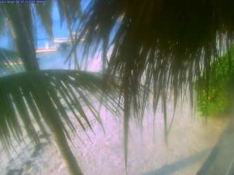 Akumal Beach Webcam