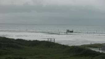 St.Peter-Ording St.Peter-Ording 268 giorni fa