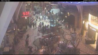 Webcam Oasis of the Seas