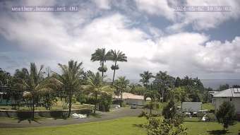 Honomu, Hawaii Honomu, Hawaii vor 38 Minuten