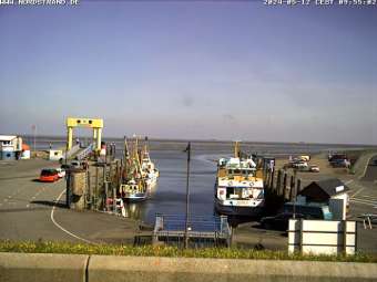 Webcam Norden (Nordstrand): Hafen Strucklahnungshörn