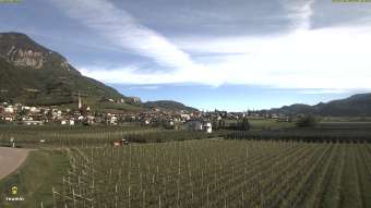 View over Tramin