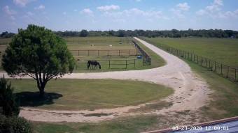 Webcam Aubrey, Texas