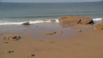 Whitsand Bay Whitsand Bay il y a 5 ans