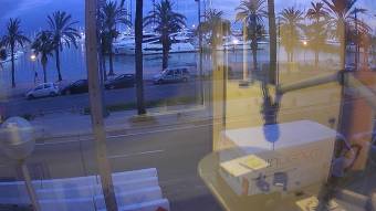 Webcam Palma di Majorca