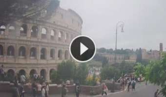 Rom Rom vor 6 Minuten