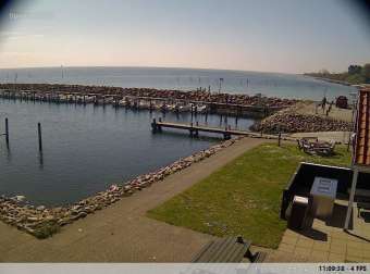 Webcam Spodsbjerg (Langeland): Spodsbjerg Hafen