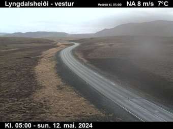 Webcam Lyngdalsheiði: Route 36 Richtung Westen