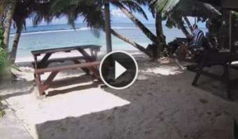 Webcam Anse Parnel (Mahé): Livestream Surfers Beach Restaurant