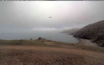Webcam Meat Cove: Meat Cove Campground