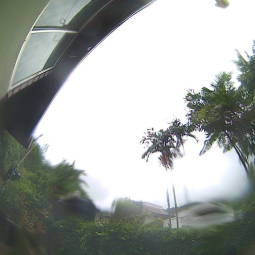 Webcam Maraval (Trinidad)