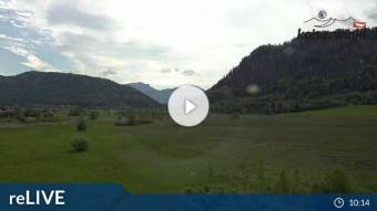 Webcam Walchsee: Moorgebiet Schwemm