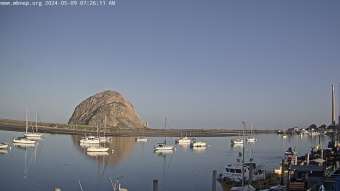 Webcam Morro Bay , California