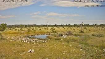 Webcam Otjiwarongo: Kambaku Safari Lodge Namibia