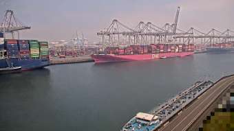 Webcam Rotterdam: Port de Rotterdam - Amazonehaven