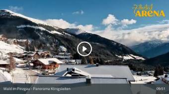 Webcam Wald im Pinzgau: Panorama Königsleiten