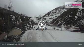 Webcam Sierra Nevada: Mirlo Blanco