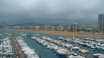 Palamos Palamos hace 14 horas