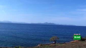 Webcam Colònia de Sant Pere (Mallorca): Meerblick