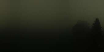 Webcam Beinwil (Freiamt): Panorama 360° Langlaufloipe Lindenberg
