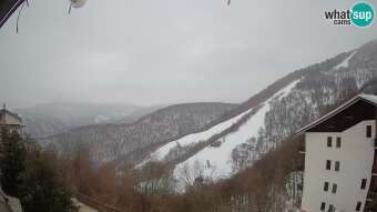 Webcam Cardini di Roburent: View to Monte Alpet