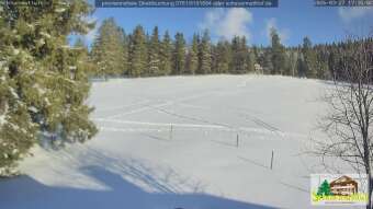 Webcam Todtnauberg: Scheuermattwiese