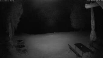 Webcam Seeg