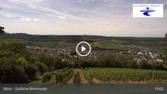 Webcam Nittel: Südliche Weinmosel